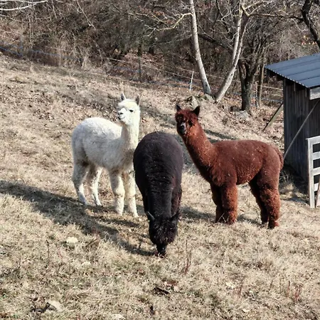 Pod Sixovkou Prázdninový dům