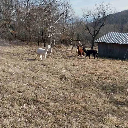 Pod Sixovkou Prázdninový dům *