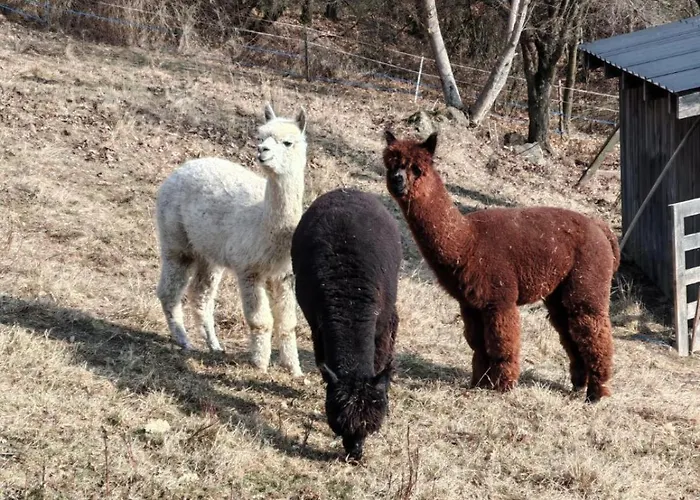 Pod Sixovkou בית נופש